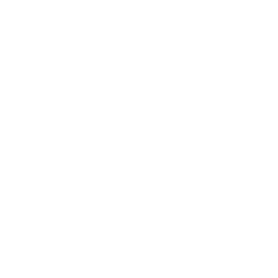 Shin Express