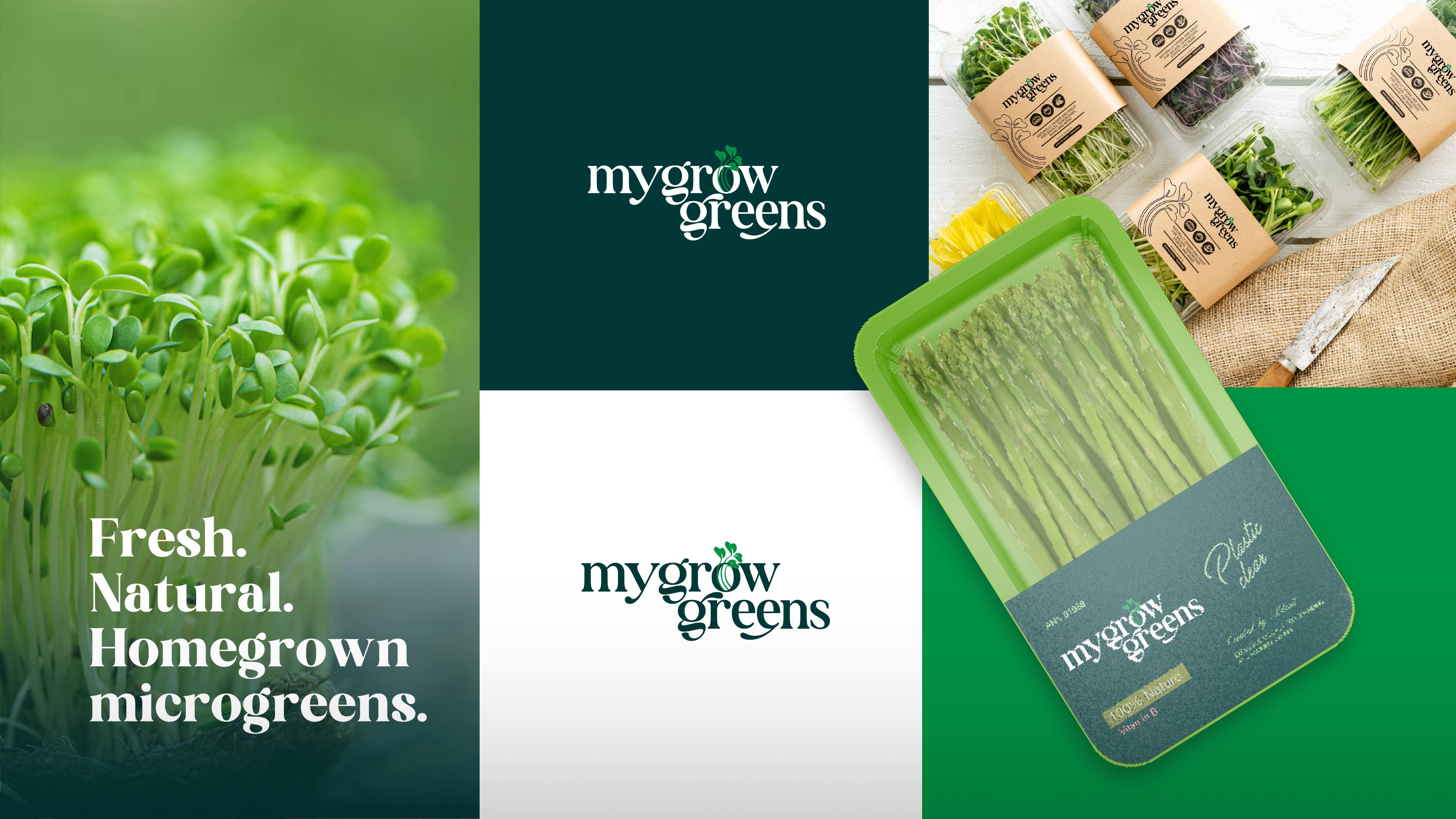 Brand Identity